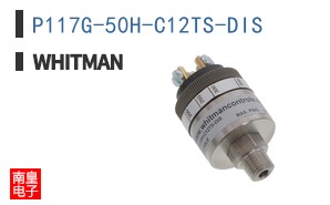 P117G-50H-C12TS-DIS ͼƬ